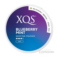 xqs nic pouches