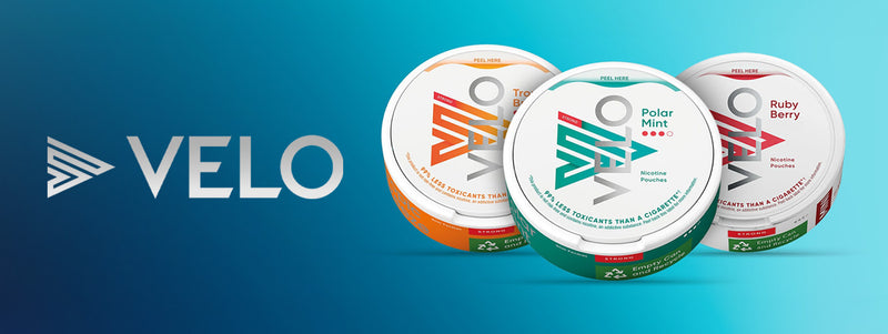 Velo nicotine pouches displayed in sleek and modern packaging, highlighting premium quality and bold branding.