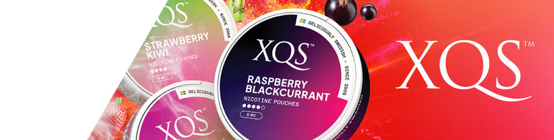 XQS Nicotine Pouches