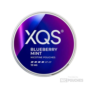 XQS Blueberry Mint