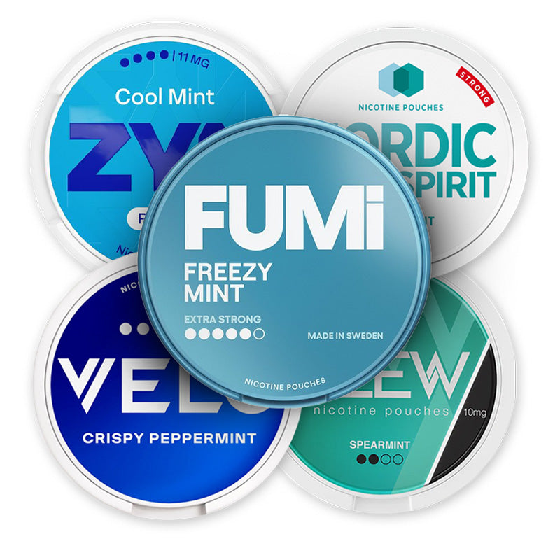 Mint Intense Power Pack Bundle (20-Pack)