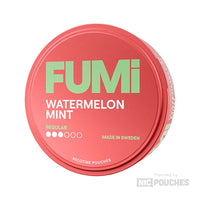 fumi watermelon mint regular