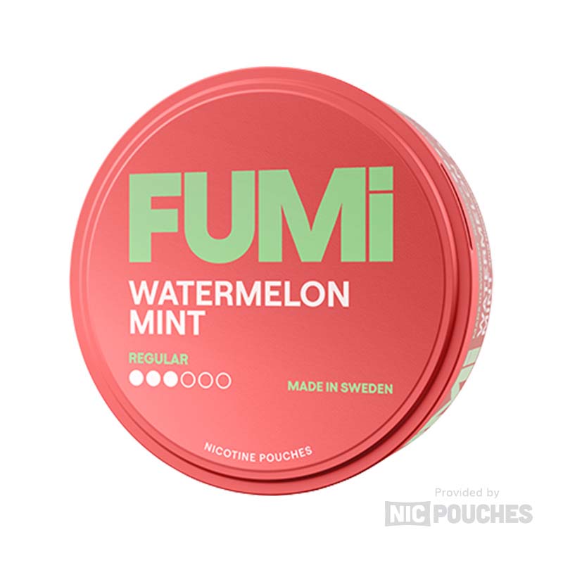 fumi watermelon mint regular