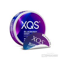 XQS Blueberry Mint