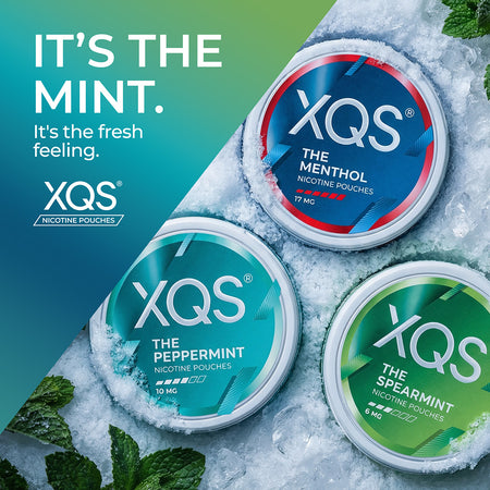 XQS New Mint Flavours