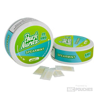 Pouch Nurdz Spearmint product with 6mg nicotine pouches for a refreshing mint experience.