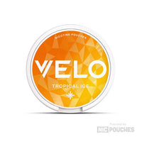 velo nicotine pouches 10mg tropical ice