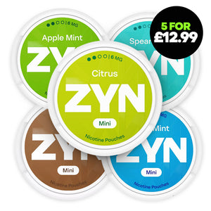 Zyn New 5 Pack Bundle